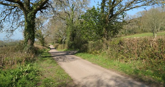 Country lane in England on a sunny Spring day 