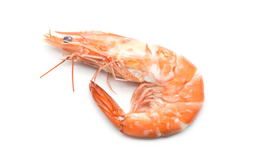 Shrimp isolated on white background