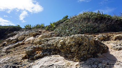 rocks of marinha beach