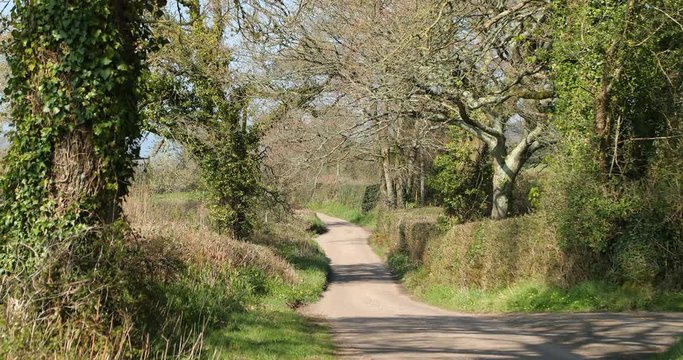 Country lane in England on a sunny Spring day 