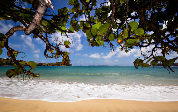A Caribbean beach 