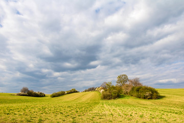 Fototapeta na wymiar Amazing colorful spring landscape with meadow under cloudy sky