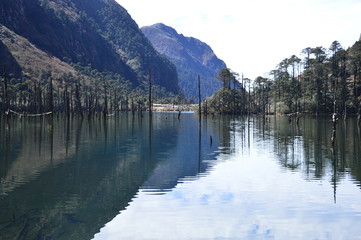 sungester lake,arunachal pradesh,india