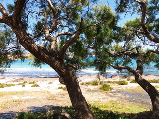 Seaview under the tree shadow
