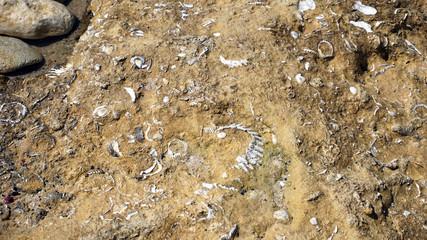 amazing algarve landscpae