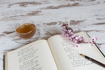 Teetasse, Aufzeichnungen, Stift