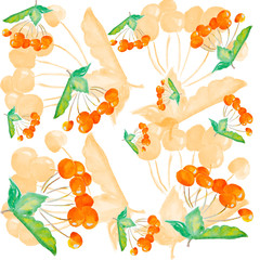 Fototapeta premium Sea-buckthorn watercolor drawing