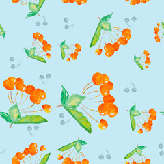 Sea-buckthorn watercolor drawing