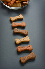 dog biscuits in the shape of bones