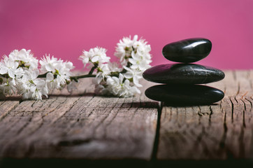 Obraz na płótnie Canvas Black stone treatment. Spa and wellness concept. One pink flower on a wooden table and pink background. Lovely flowers. Festive greeting card. Pastel color.. Spring.