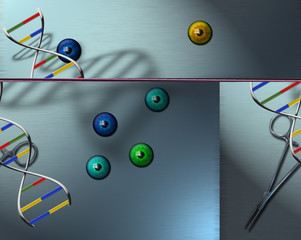 DNA