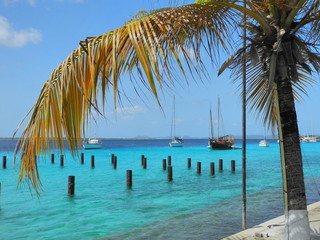 Fototapeta na wymiar Bonaire Harbor