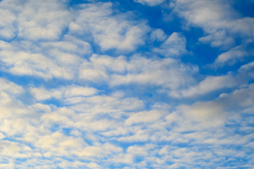 Fototapeta premium Clouds in the sky