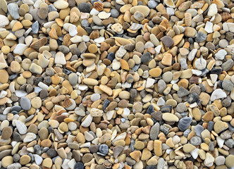 Colorful Pebbles of Sea coast