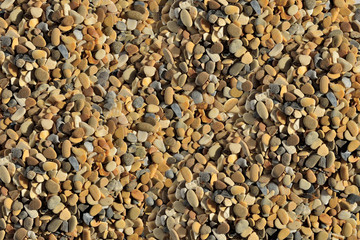 Colorful Pebbles of Sea coast - summer background