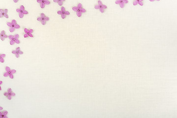 lilac flowers backgrund