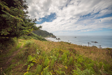 Obraz premium View of the beach from the cliff. Beautiful blue sea. Redwood national and state parks. California, USA