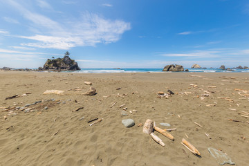 Fototapeta na wymiar A huge sandy beach with large stones. Redwood national and state parks. California, USA
