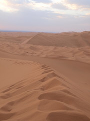 sahara desert morocco