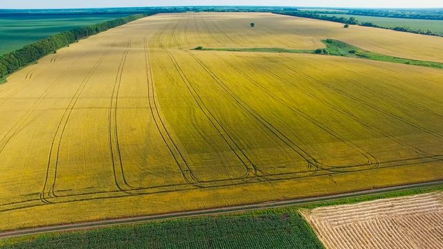 Aerial photography, lake, field, village