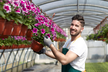 happy male nursery worker trimming plants in greenhouse