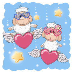Cute Lovers Sheep