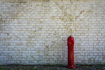 vintage brickwall and hidrant