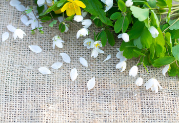 Bouquet of white and yellow spring flowers on sackcloth tablecloths