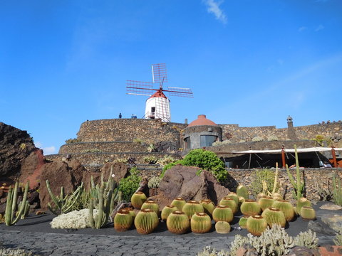 Jardín de Cactus - Kaktusgarten mit Windmühle auf Lanzarote 6