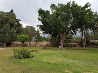 Garten mit Bäumen in Guatemala