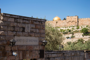 Close up of the entrance of Gethesemane and in the background a view on the golden gate and the golden dome in Jerusalem Israel