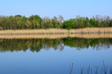 Fototapeta na wymiar spring on the lake, the awakening of colors and reflections