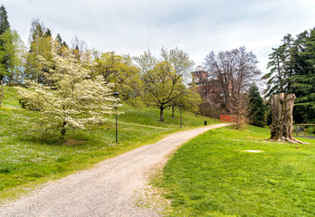 Fototapeta na wymiar The public park at Villa Toeplitz in Varese, Italy 