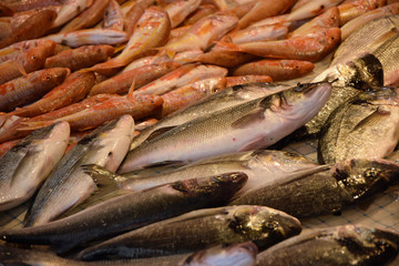 Fische auf einem Markt