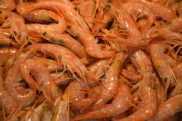 Garnelen auf einem Markt
