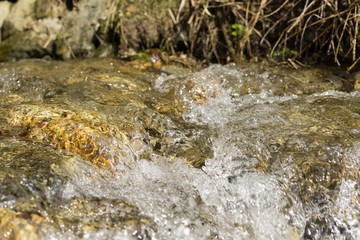 Water stream. Slovakia