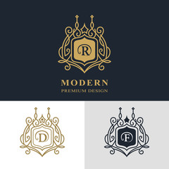Fototapeta premium Monogram design elements, graceful template. Calligraphic elegant line art logo design. Letter emblem sign R, D, F for Royalty, business card, Boutique, Hotel, Heraldic, Jewelry. Vector illustration