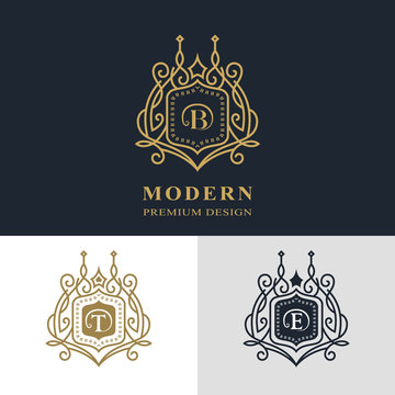 Monogram design elements, graceful template. Calligraphic elegant line art logo design. Letter emblem sign B, T, E for Royalty, business card, Boutique, Hotel, Heraldic, Jewelry. Vector illustration