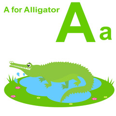 A for alligator kids alphabet