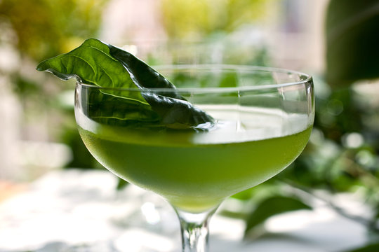 Basil gimlet