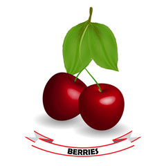 Realistic Cherry, leaves and berries isolated on white background. Vector illustration.