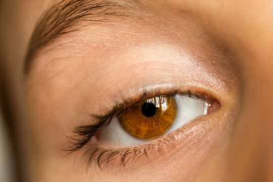 Closeup of brown eye