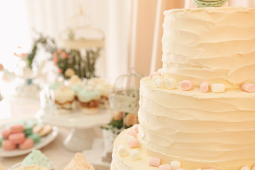 Obraz na płótnie Canvas Candy bar. Tasty multi level cake with sweets on table