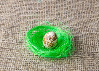 one quail egg rests on the filler sisal lime green color on a wooden table 
