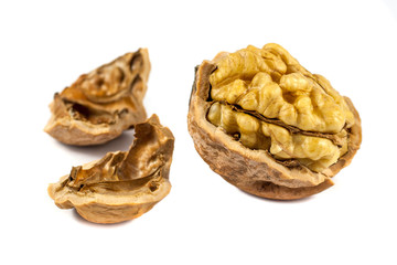 walnuts in shell isolated on white background