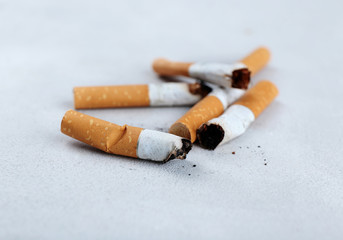 Cigarette butts on light background