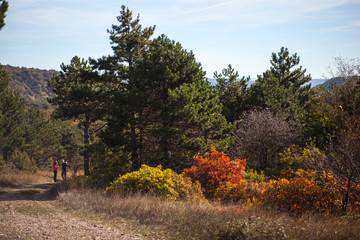 Road in the Kokos mountain
