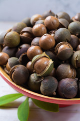 Macadamia nuts harvest close up