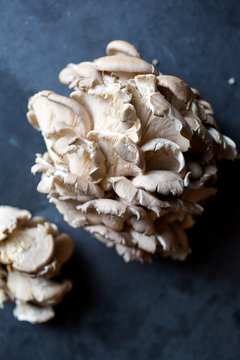 Maitake Mushroom