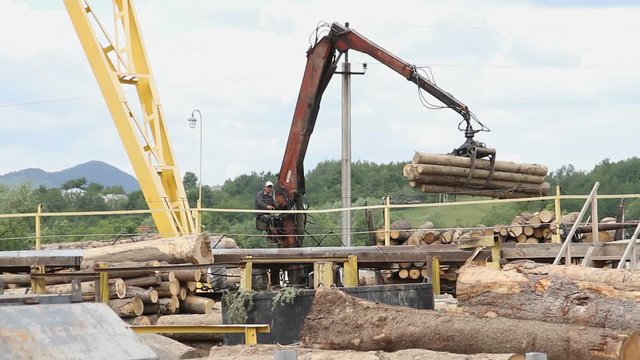 Sawmill. The crane raises logs